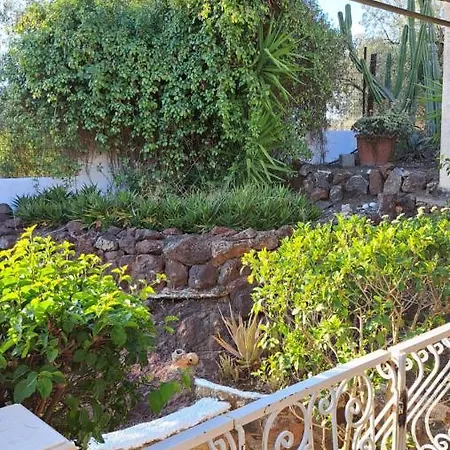 βlueview * 에르미오니