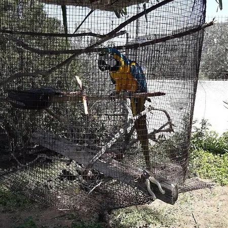 Holiday home βlueview